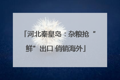 河北秦皇岛：杂粮抢“鲜”出口 俏销海外